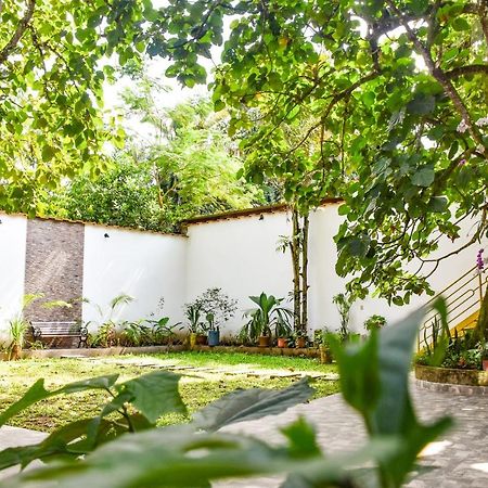 Green House Tarapoto Kültér fotó