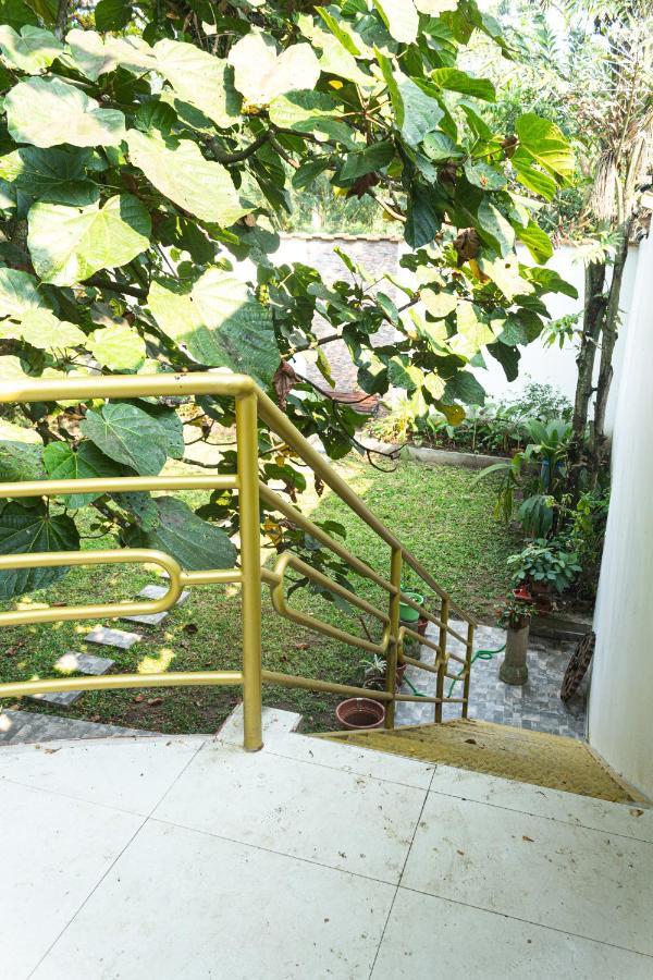 Green House Tarapoto Kültér fotó