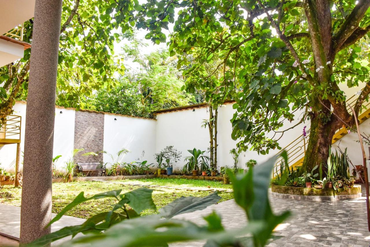 Green House Tarapoto Kültér fotó
