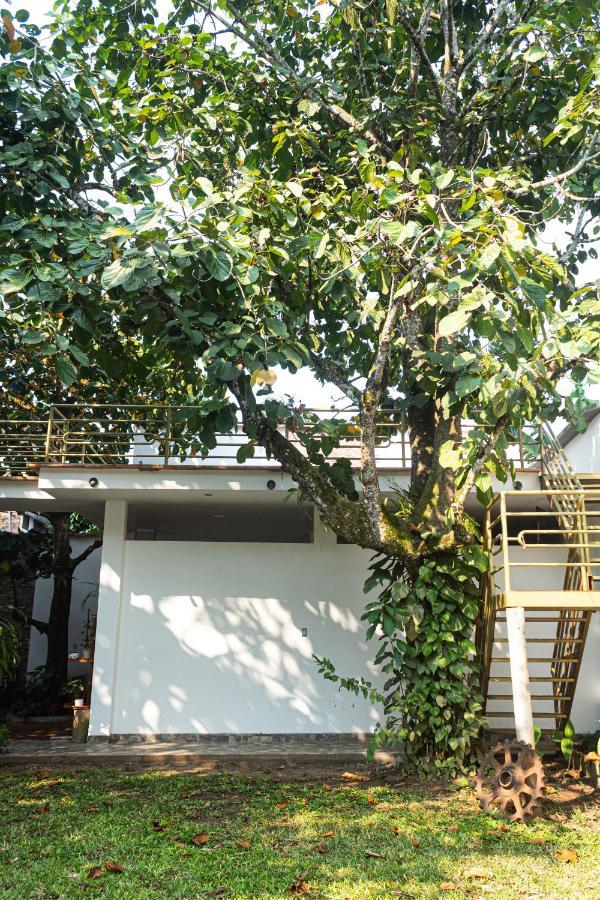 Green House Tarapoto Kültér fotó