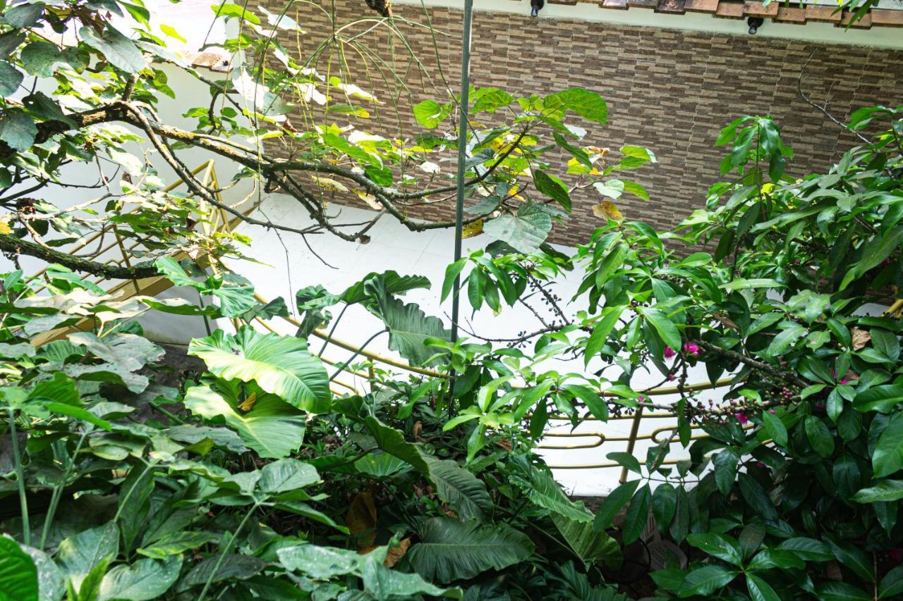 Green House Tarapoto Kültér fotó