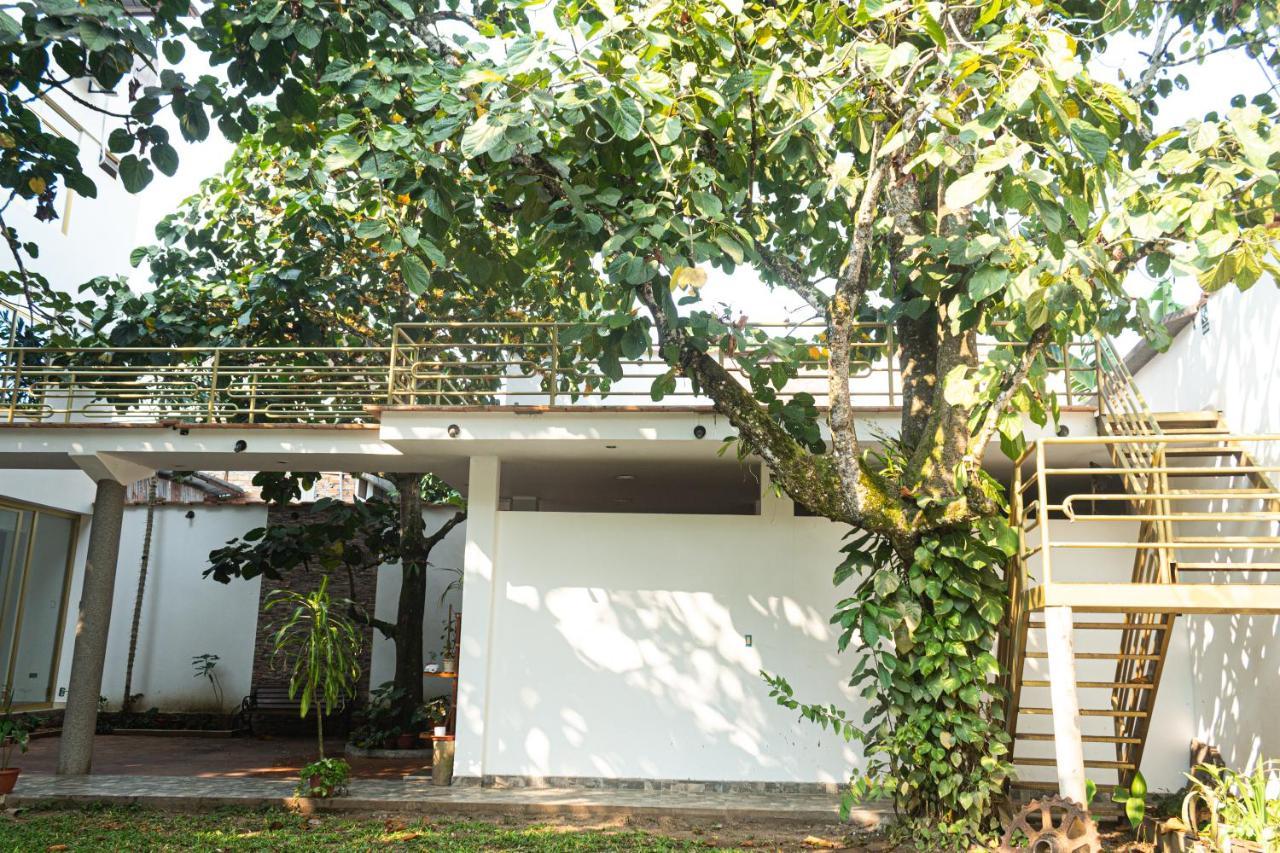 Green House Tarapoto Kültér fotó